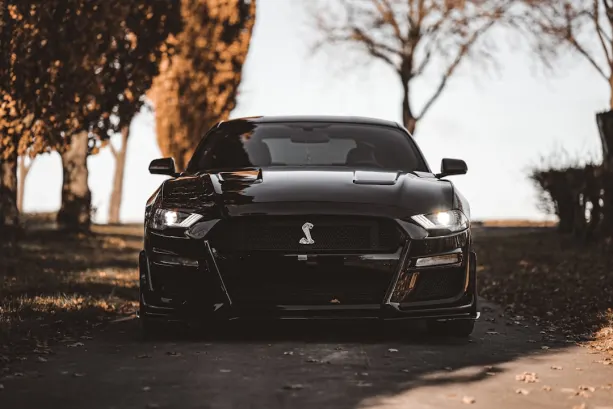 Casino777 Casino Android/iOS aplikacija